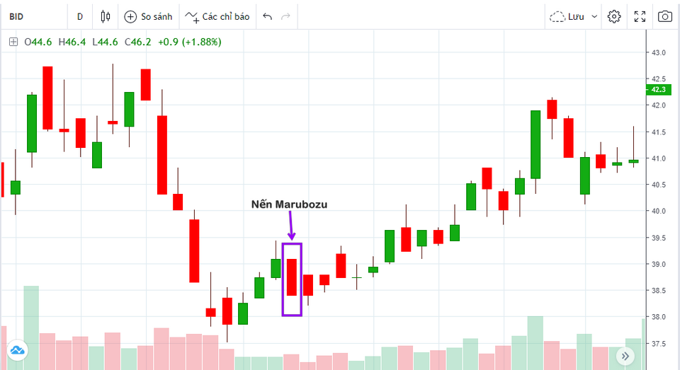 Biểu đồ thể hiện nhiều thông số quan trọng