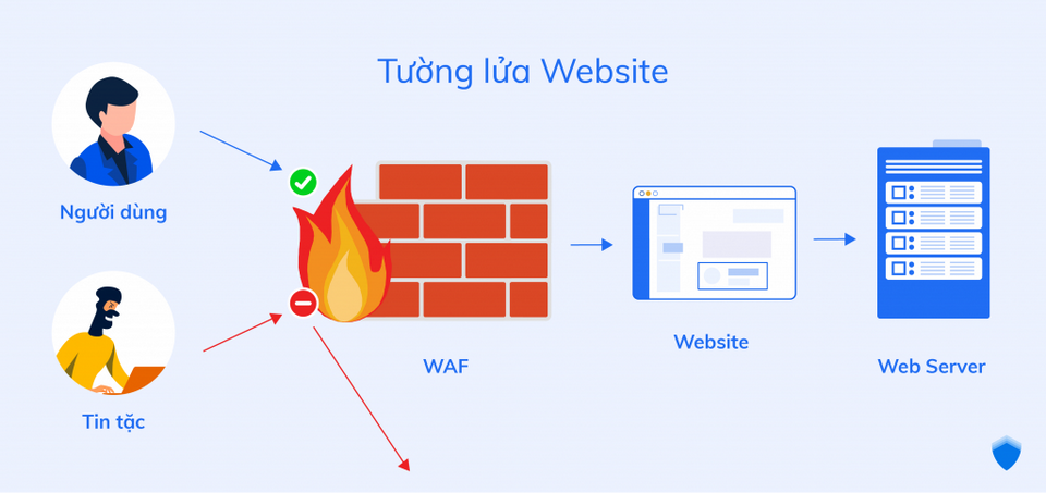Phân tích một vài kiến thức quan trọng 