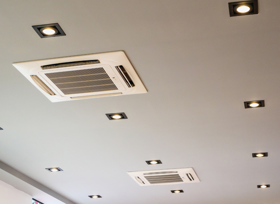 Chọn mua theo nhu cầu