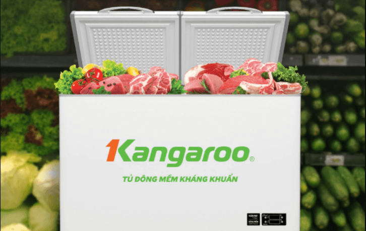 Tủ đông mềm Kangaroo với 7 ưu điểm vượt trội người dùng mê tít 3