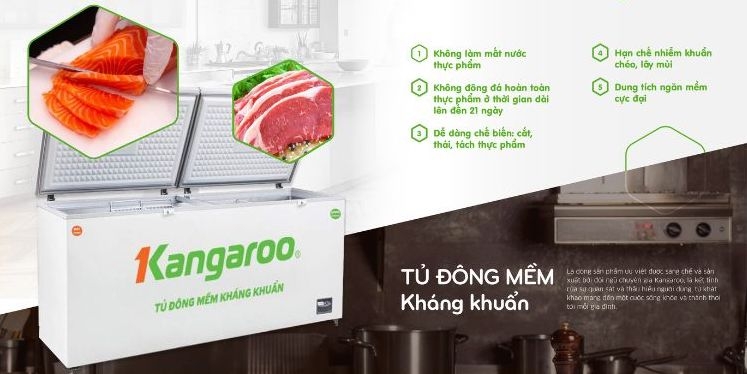 Tủ đông mềm Kangaroo với 7 ưu điểm vượt trội người dùng mê tít 1