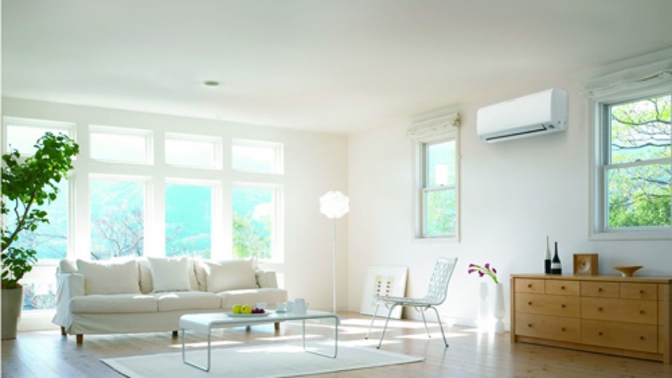 Sử dụng cây xanh trong nhà