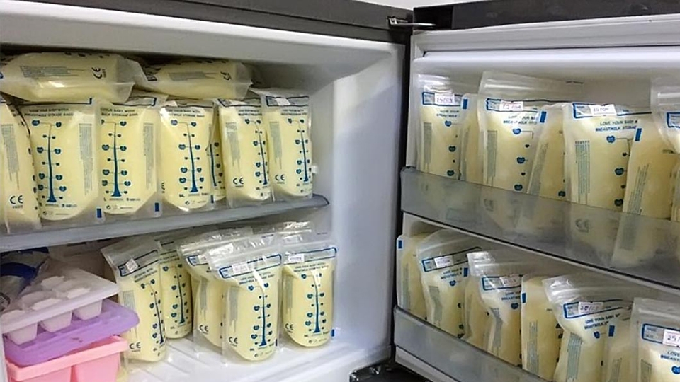 Lựa chọn tủ đông mini đựng sữa với giá thành phù hợp