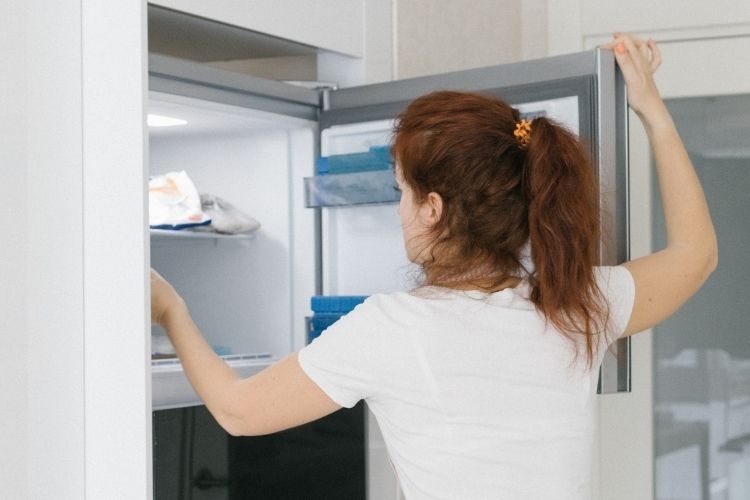 Mua tủ lạnh cho gia đình có người già (Hình 4)