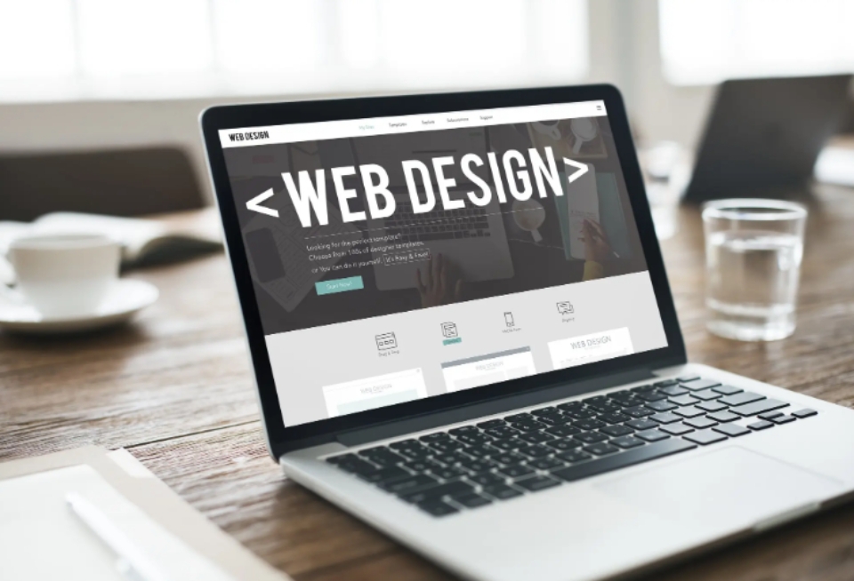 Tổng quan thông tin về về Website Designer
