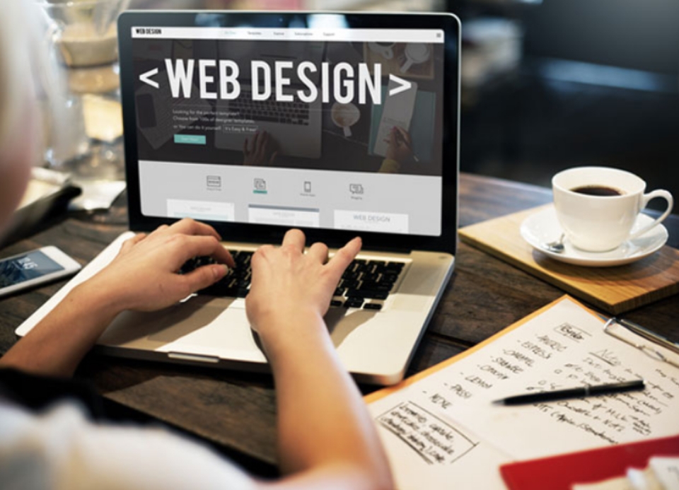 Phân biệt hai vị trí Website Developer và Website Designer như thế nào?