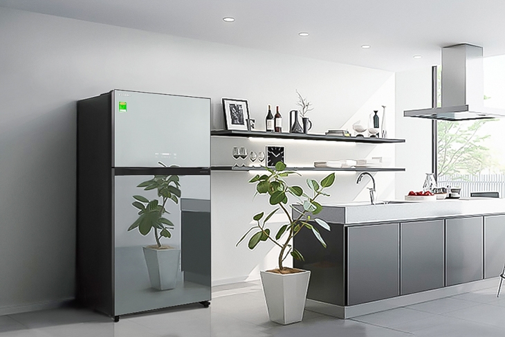 Cách sử dụng tủ lạnh Toshiba đơn giản và hiệu quả, hạn chế một số lỗi thường gặp 1