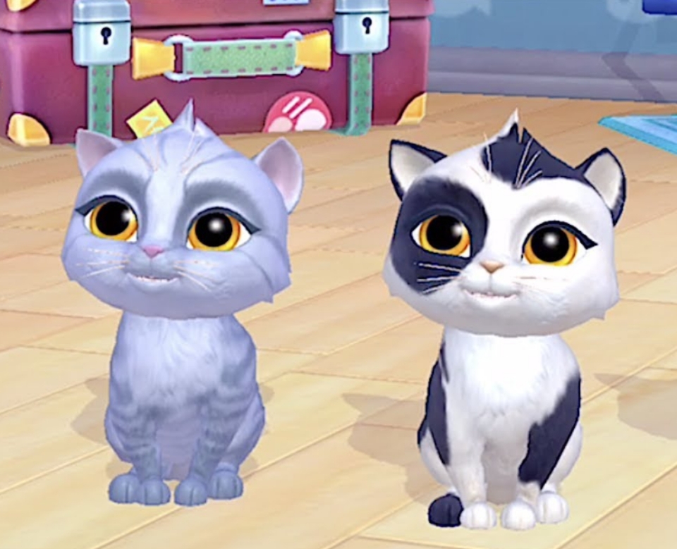 My Cat - Game mô phỏng, kết hợp mèo thú vị