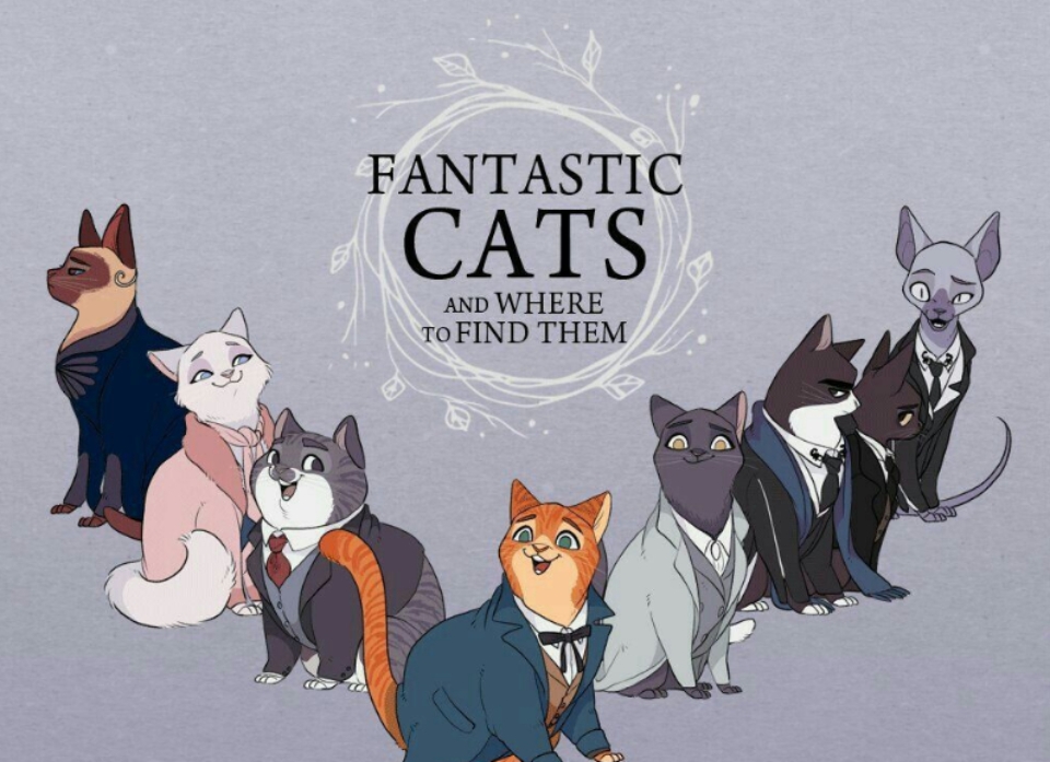 Fantastic Cats - Tải game nuôi mèo mô phỏng chăm sóc thú cưng