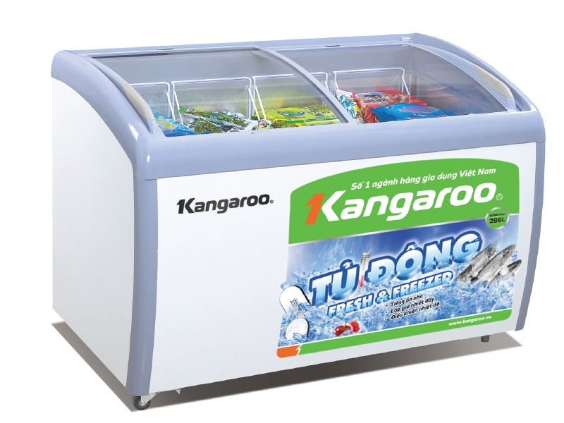 Tủ đông mặt kính là gì? Có gì khác biệt và đáng mua hay không? 1