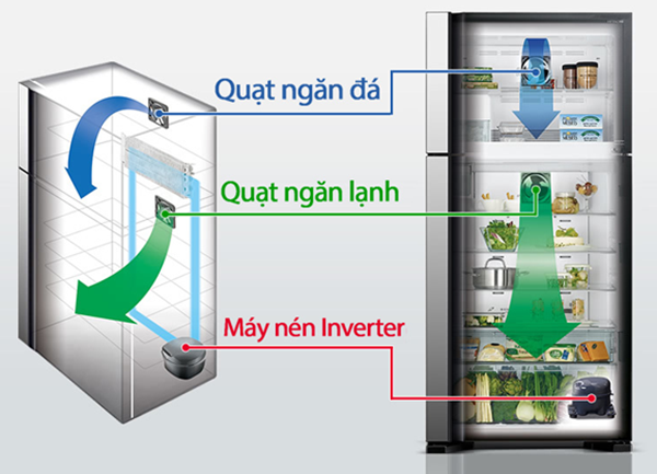 So sánh tủ lạnh và tủ đông có gì khác nhau? Nên mua loại nào? 2