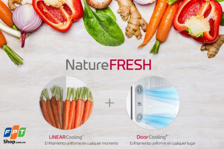 Công nghệ Naturefresh+™ vô cùng hữu dụng trong việc bảo quản thực phẩm