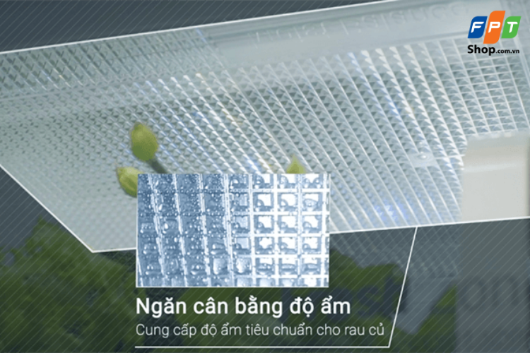 Hệ thống lưới mắt cáo