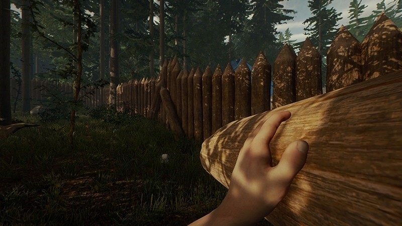 the forest 2
