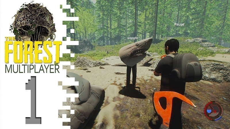 the forest