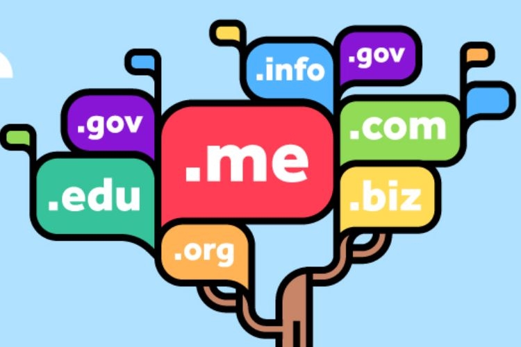 Phân loại Domain 1