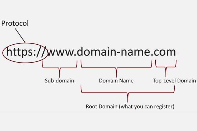 Thành phần của Domain