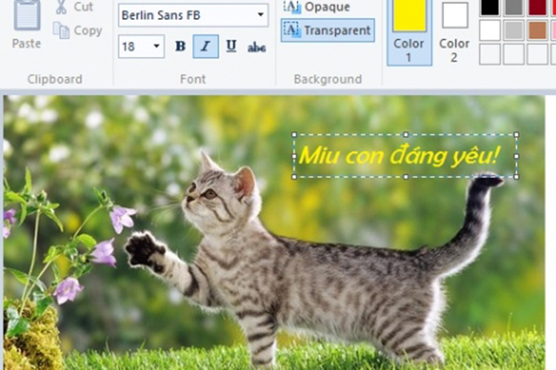 Phần mềm chèn chữ vào ảnh nghệ thuật trên máy tính đơn giản - hình 1
