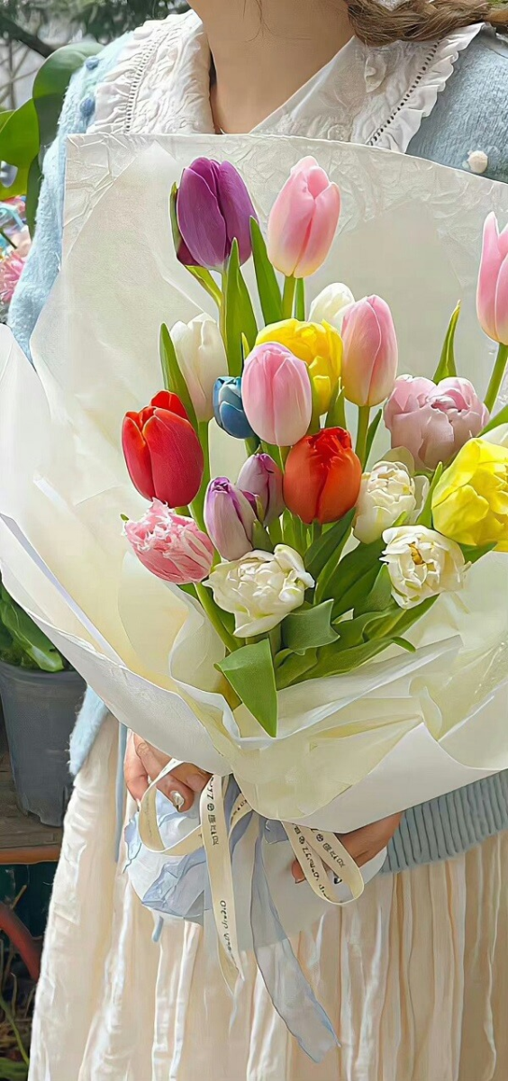 Hình nền điện thoại hoa Tulip 14