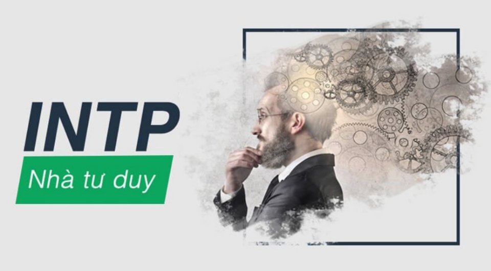 Đặc điểm chung của nhóm tính cách INTP