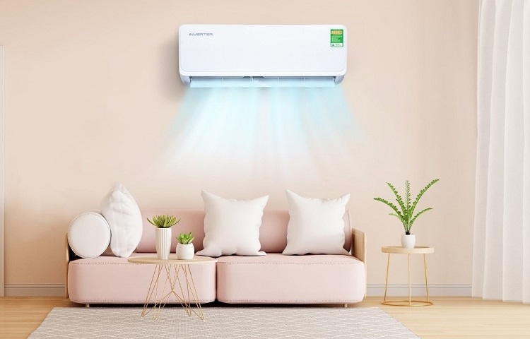 Để cây trong nhà giúp xua đi mùi hôi điều hoà
