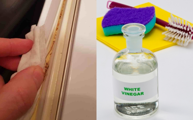 Làm sạch bằng giấm và nước