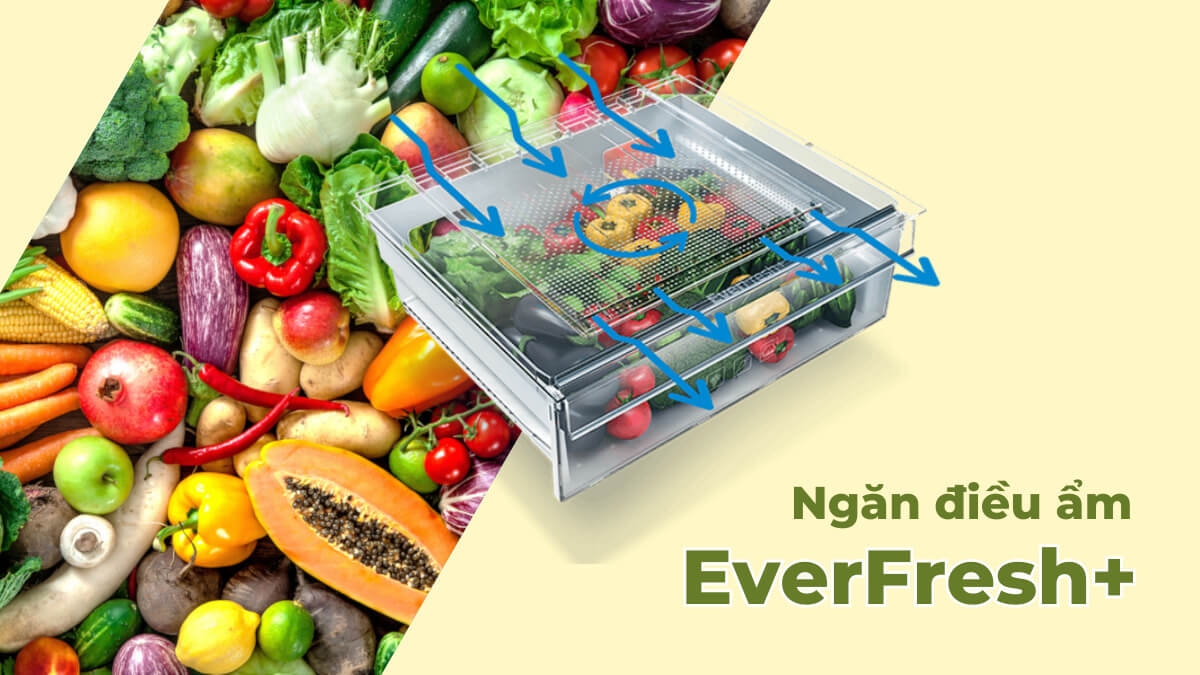 everfresh