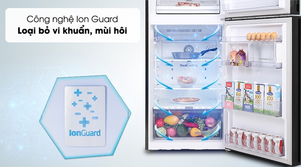 ion guard