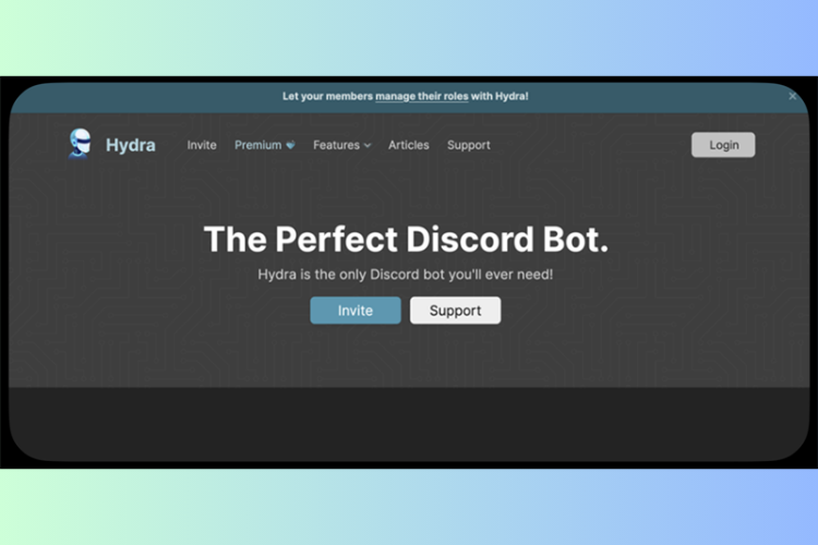 Hướng dẫn thêm Music bots vào Discord 1