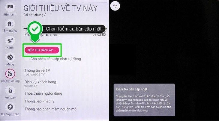 Phiên bản phần mềm