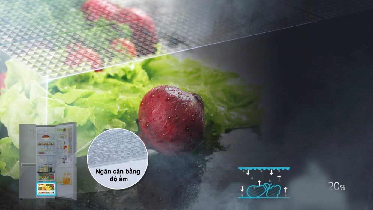 Tính năng ngăn cân bằng độ ẩm 2 chế độ của tủ lạnh LG