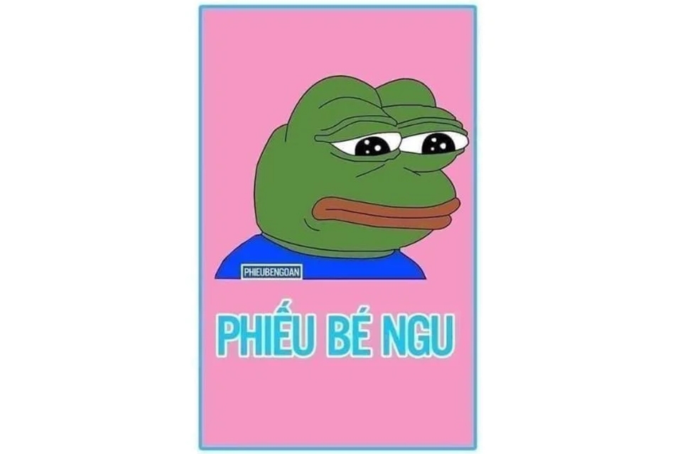 Meme ếch xanh “phiếu bé ngu”.