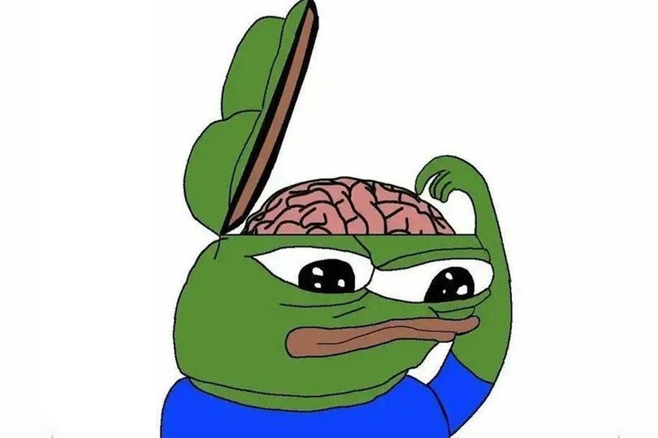 Meme ếch xanh tri thức.