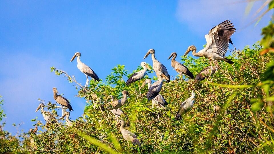 Khu bảo tồn hệ sinh thái Lung Ngọc Hoàng