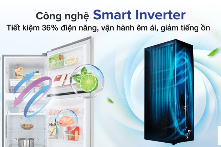 Tủ lạnh LG Inverter có tốt không (hình 4)