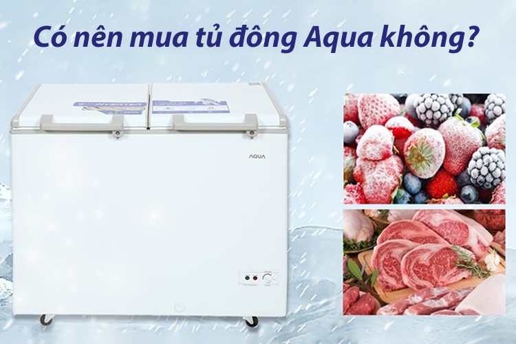 Tủ đông Aqua của nước nào? (hình 9)