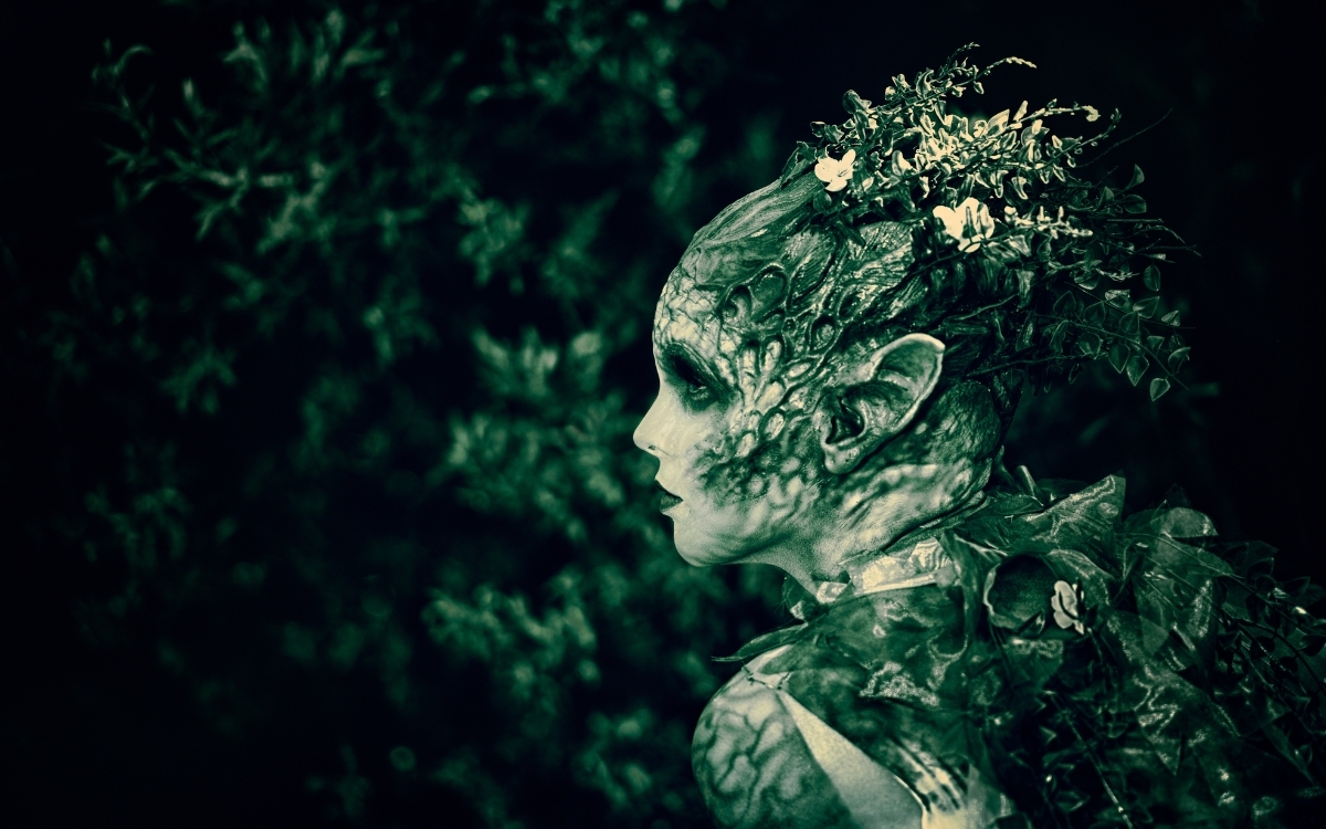 hình nền màu xanh lá cây