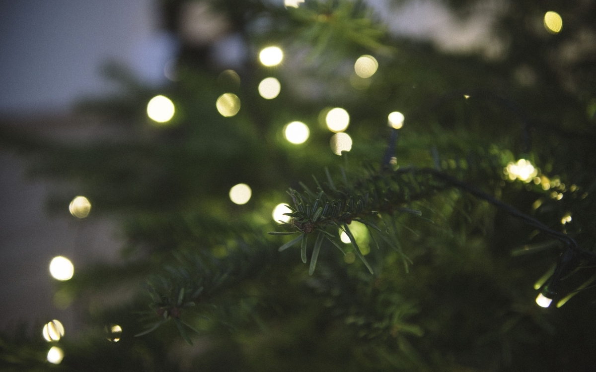 Hình nền màu xanh lá cây thiên nhiên 5