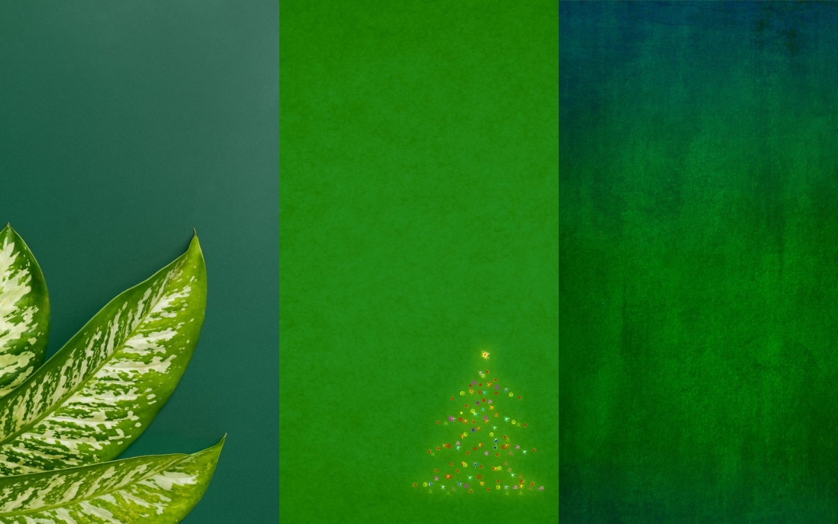 Hình nền màu xanh lá cây đơn sắc 2