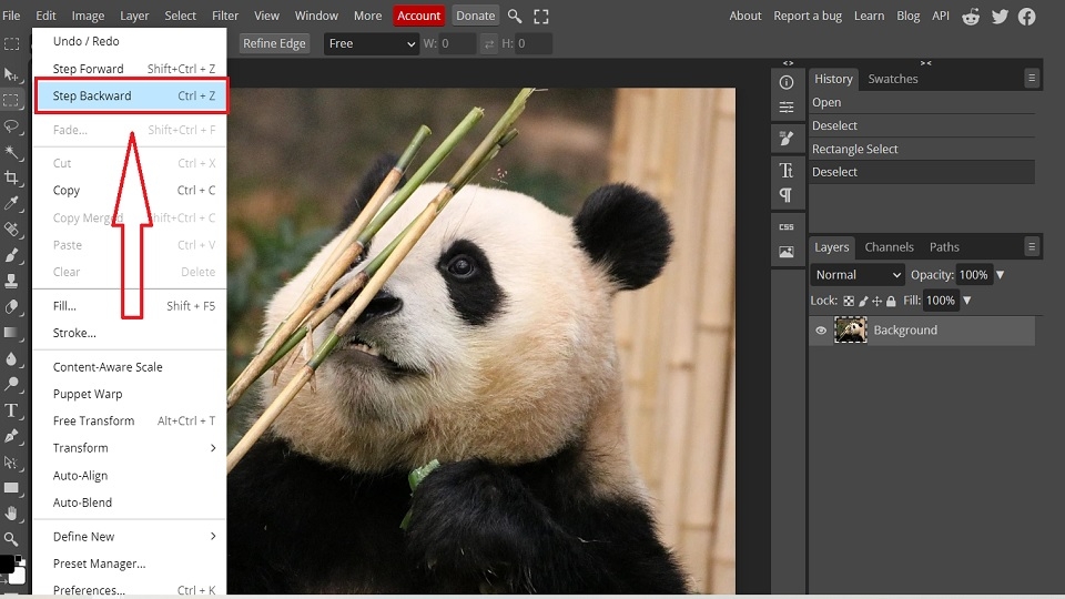 Hoàn tác một tác vụ trong Photoshop bằng Ctrl Z