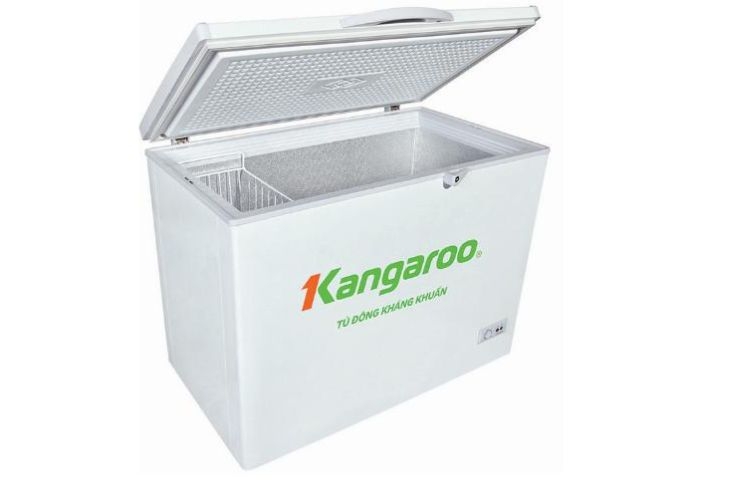 Tủ đông 1 ngăn có nhiều các dung tích để lựa chọn