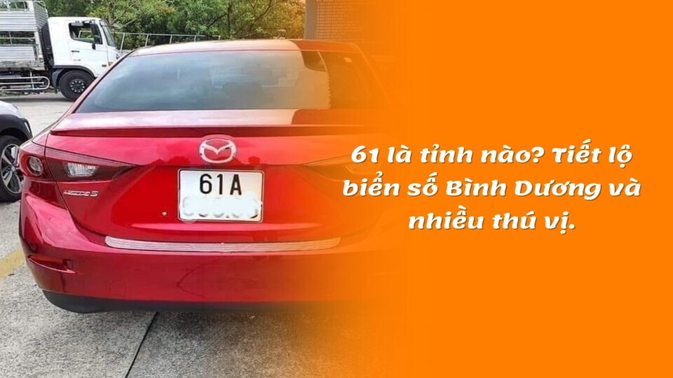 Ý nghĩa đặc biệt, độc đáo của biển số xe 61
