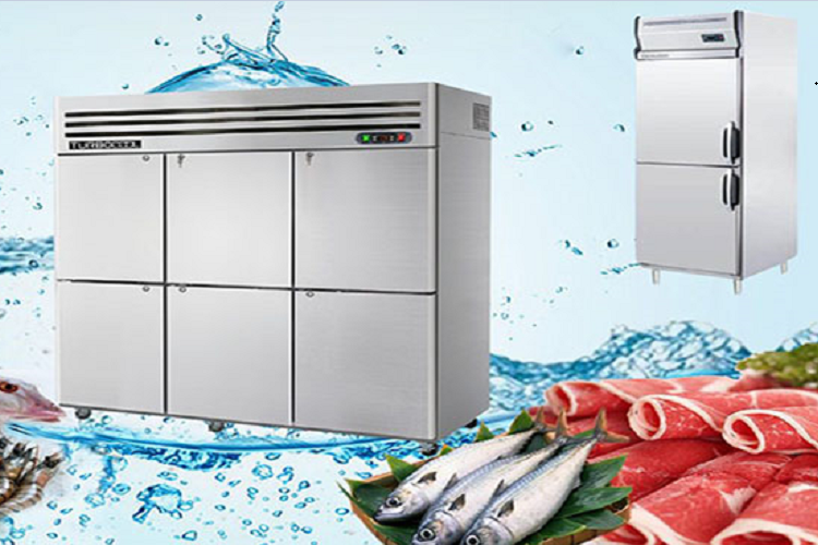 Tiêu chí chọn mua tủ đông công nghiệp để phù hợp với nhu cầu sử dụng, tiết kiệm chi phí - Hình 1