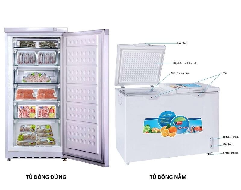 So sánh tủ đông đứng và tủ đông nằm: Lựa chọn nào phù hợp? 4