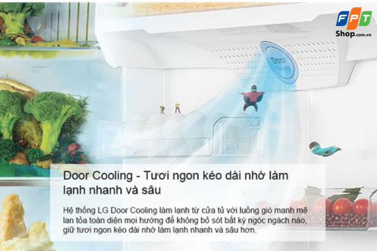 Công nghệ Door Cooling+ trên tủ lạnh LG
