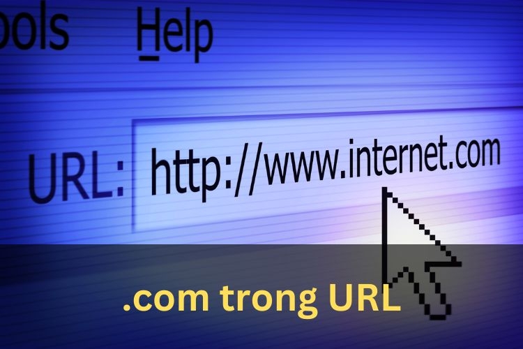 .com trong url
