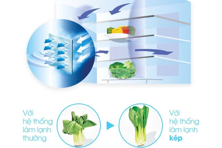 Tìm hiểu công nghệ làm lạnh tủ lạnh Sharp (hình 4)