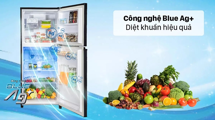 Khám phá công nghệ kháng khuẩn tủ lạnh Panasonic (hình 3)