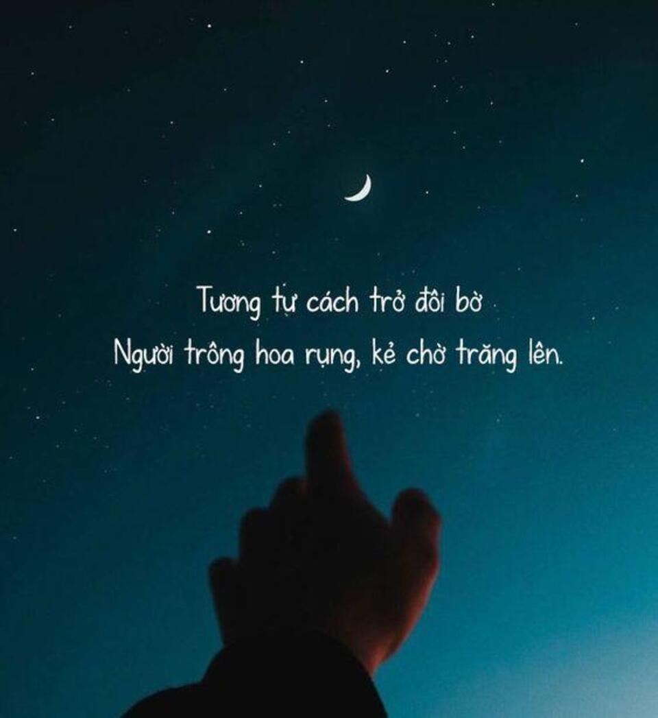 STT tâm trạng về tình đơn phương