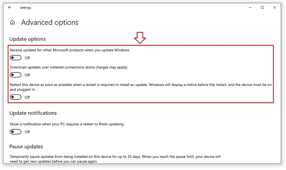 Tắt các mục ở phần “Update Options” về trạng thái off 